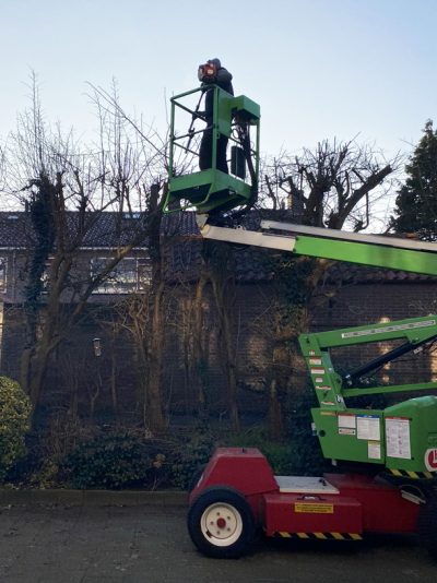 Hoveniersbedrijf J. de Mooij in Rijnsburg is gespecialiseerd in het snoien en rooien van bomen
